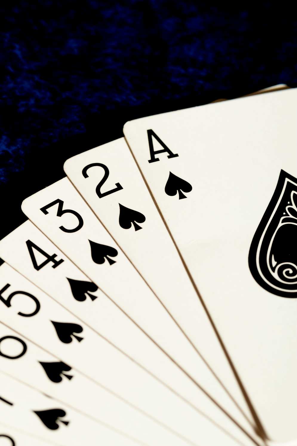 spinfestcasinos.net