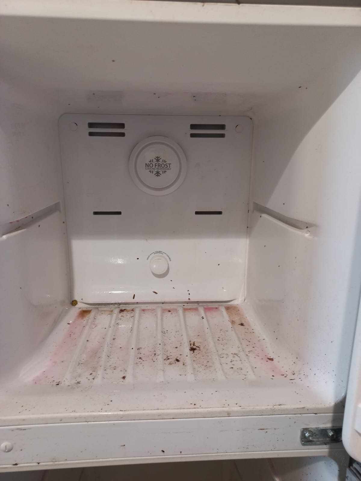 Dirty refrigerator interior with "NO FROST" label visible