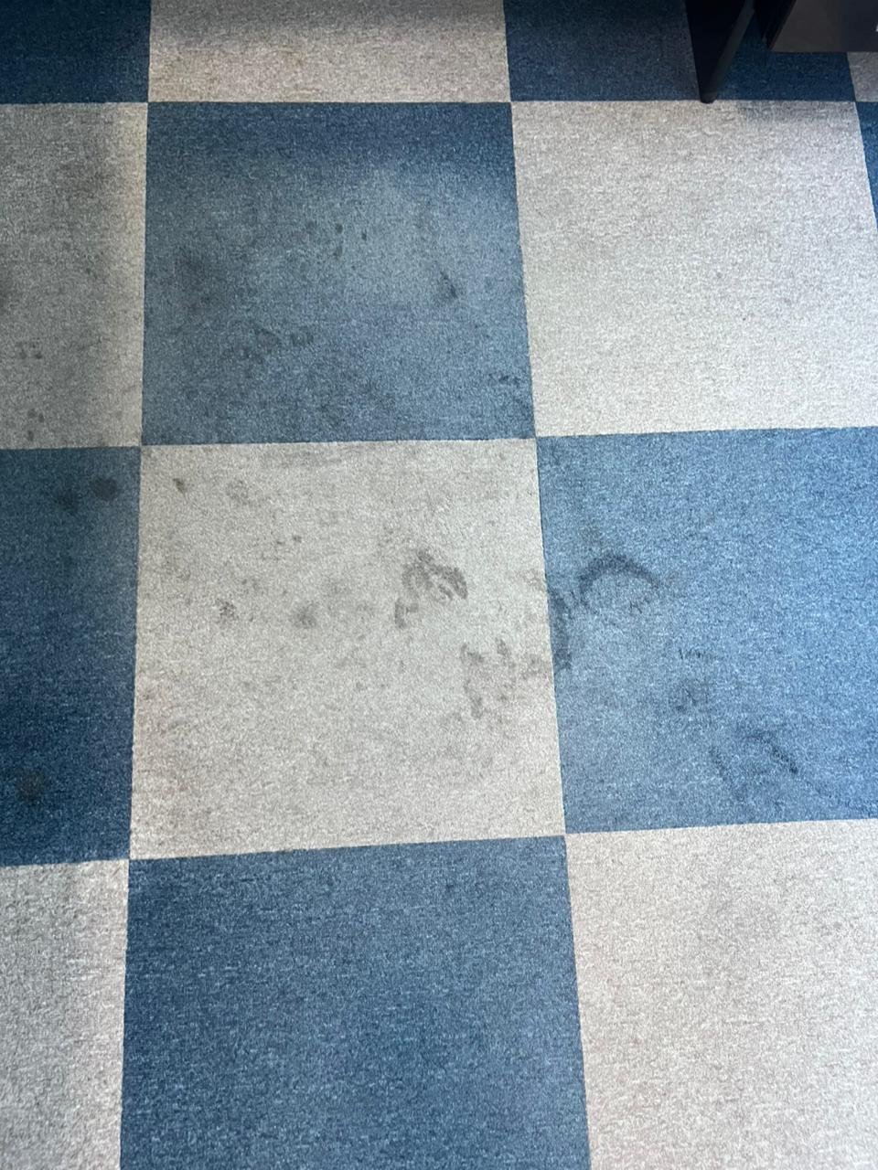 Close-up of a blue and grey checkered carpet with visible dirt marks.